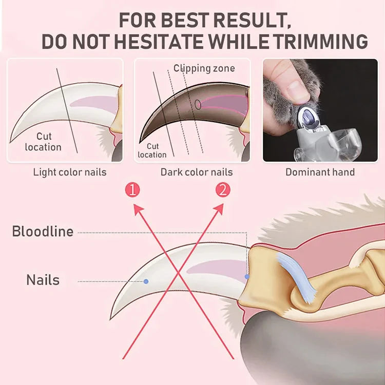 Professional Pet Nail Clipper Scissors With LED Light Cat Dog Nail Clipper Tool Scissors Nail Toeclaw Cutter Scissors Pet Supply