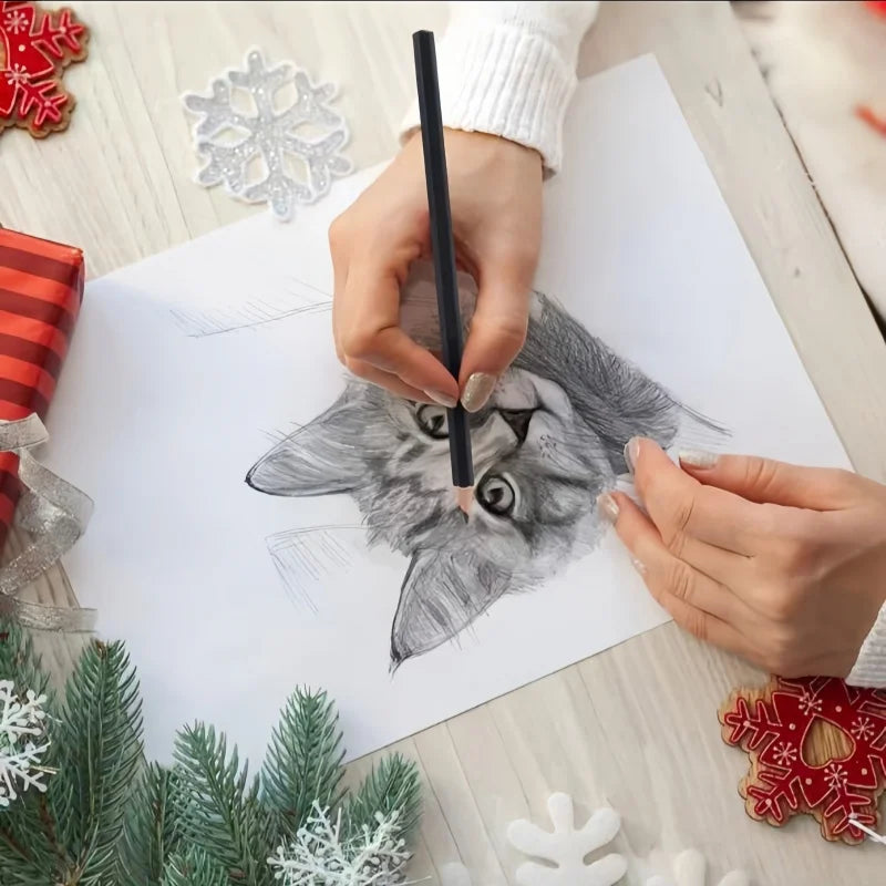 29-Piece Sketching Art Set for Adults - Includes Three Pencil Sketch Books Graphite Pastel Charcoal Drawing Supplies