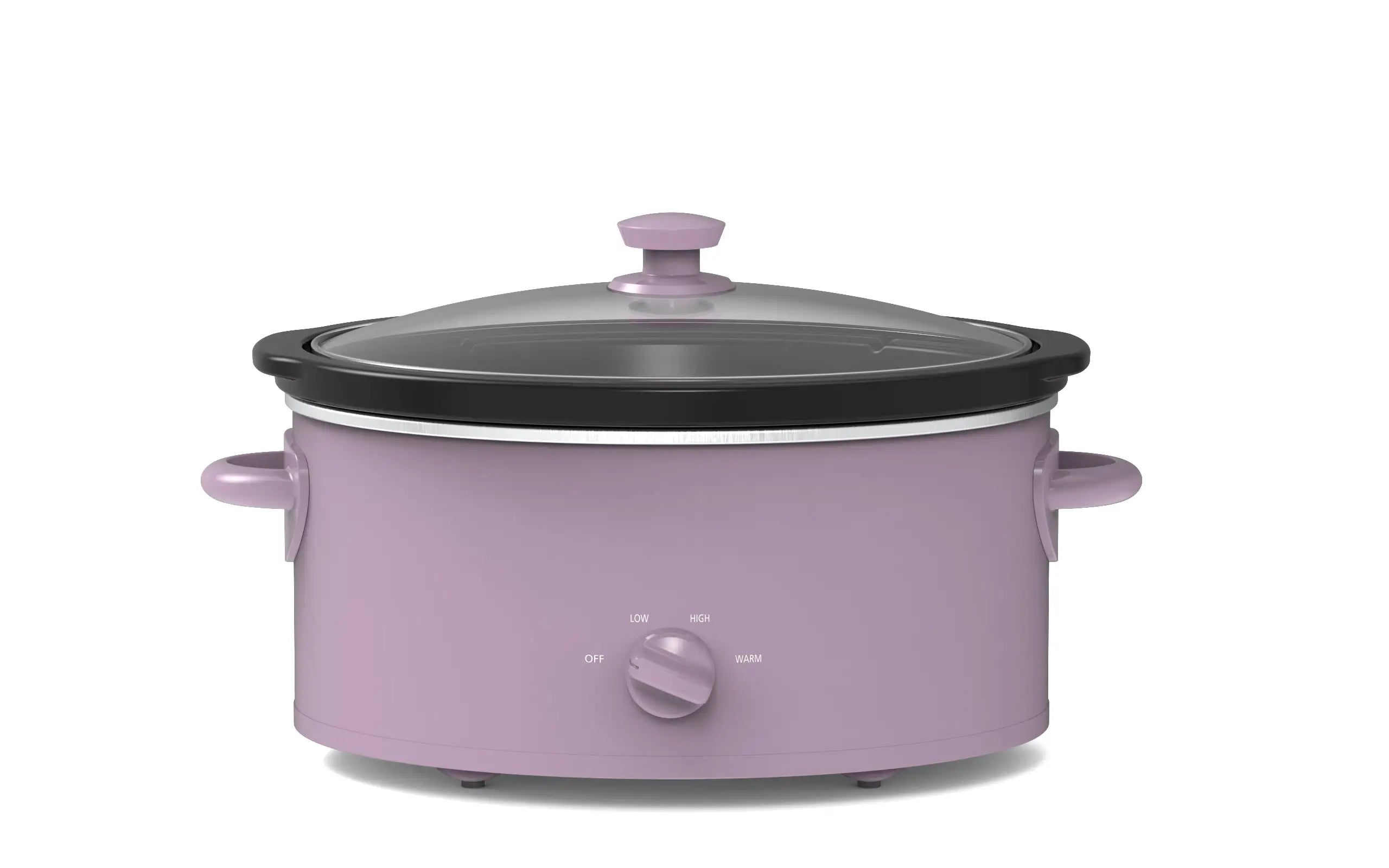 6 Quart Oval Slow Cooker with Stainless Steel Finish and Glass Lid