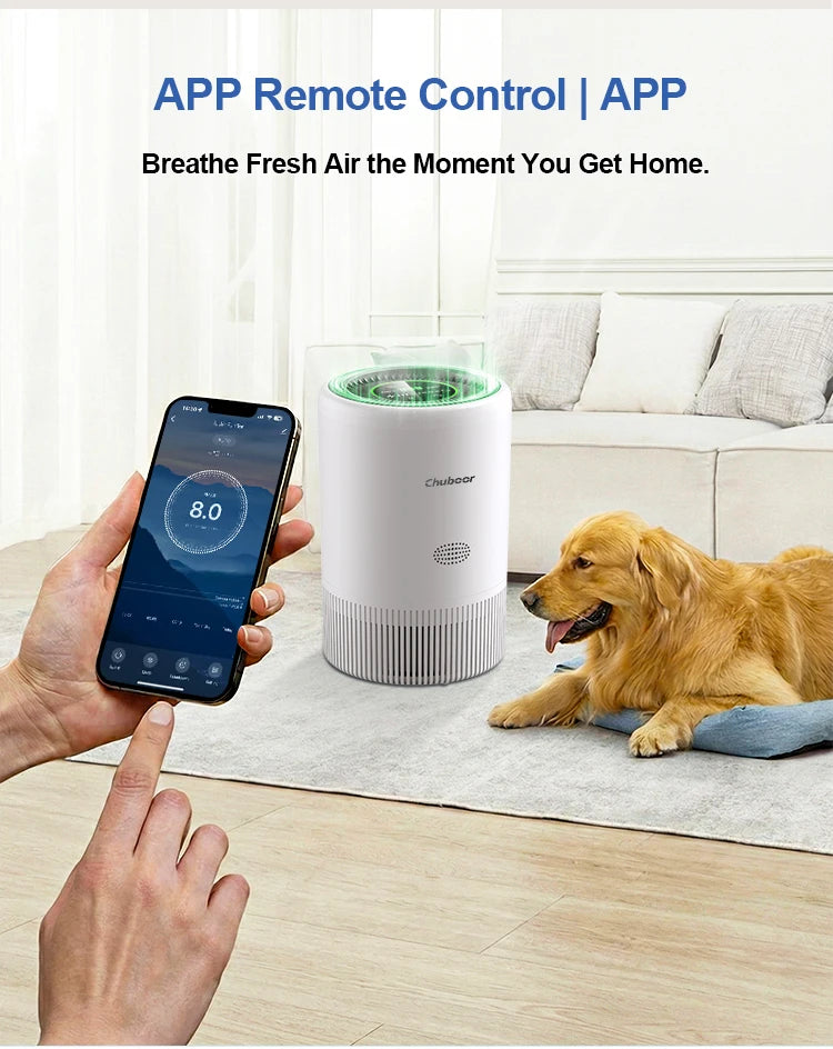 Chuboor Air Purifier Quiet Air Cleaner with High-Efficiency Filtration,H13 HEPA Removes Smoke, Dust, Pollen, Pet Hair