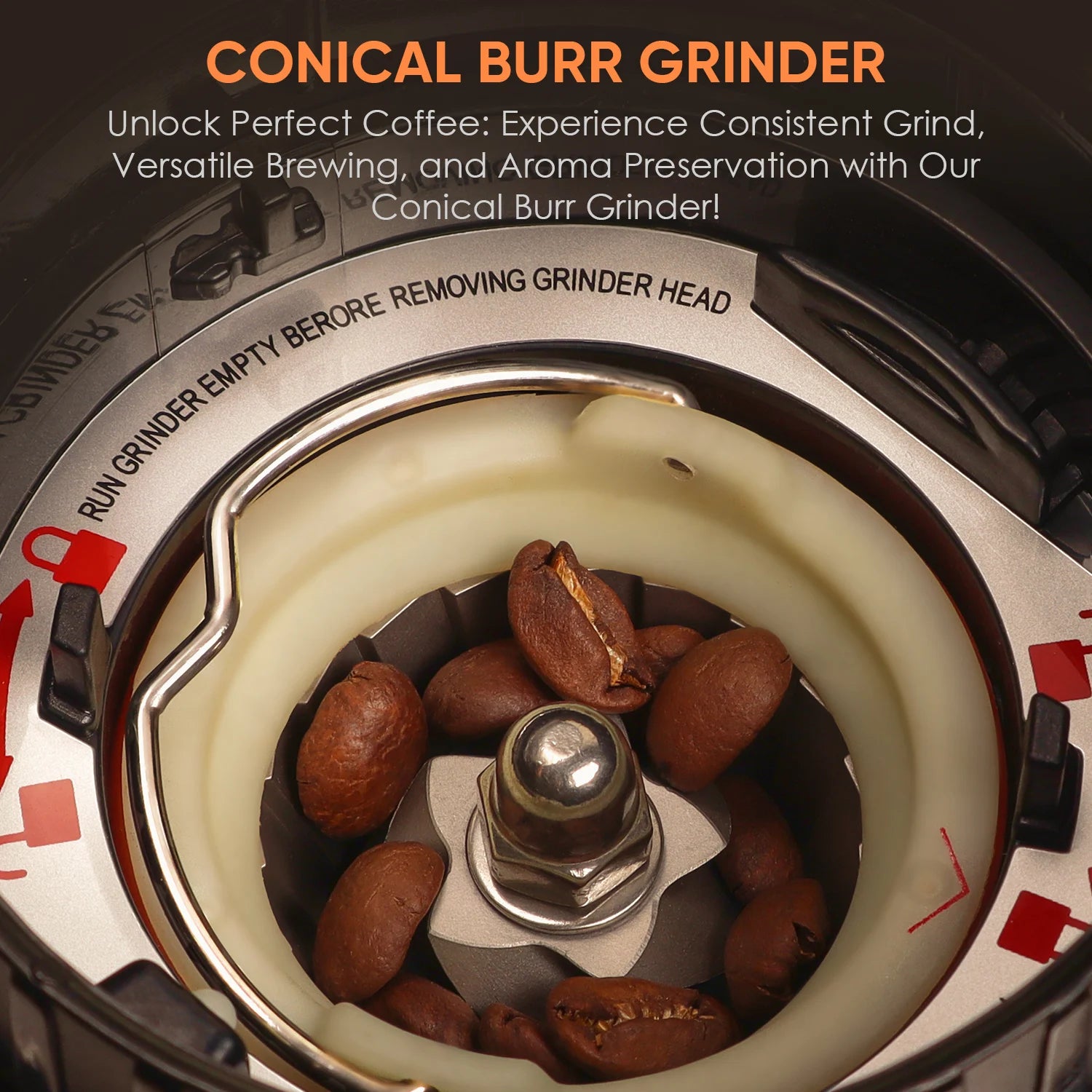 BioloMix Electric Conical Burr Coffee Grinder Adjustable 48 Settings Removable Holder for Espresso Coffee