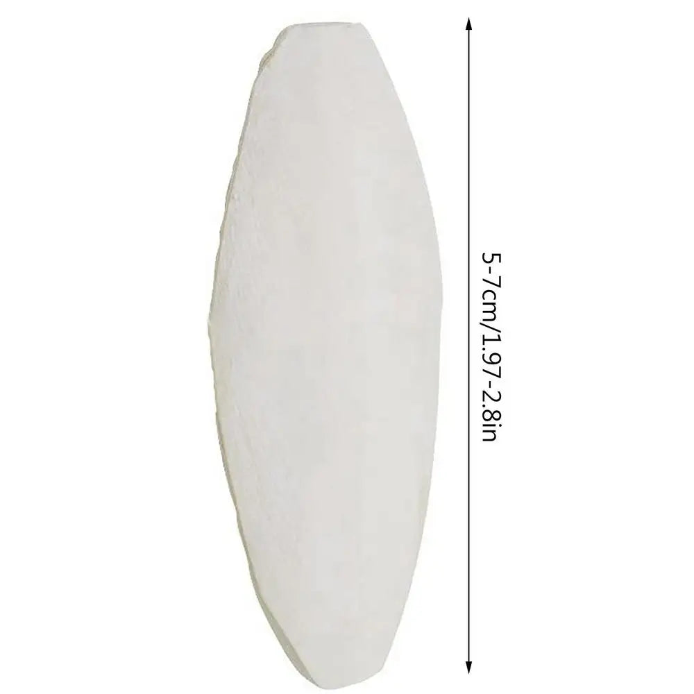 10pcs Cuttlefish Bone Parrot Chewing Toys Creative Parrot Chewing Toy Bird Food Calcium Cuttlebone Pick Stone Pet Products