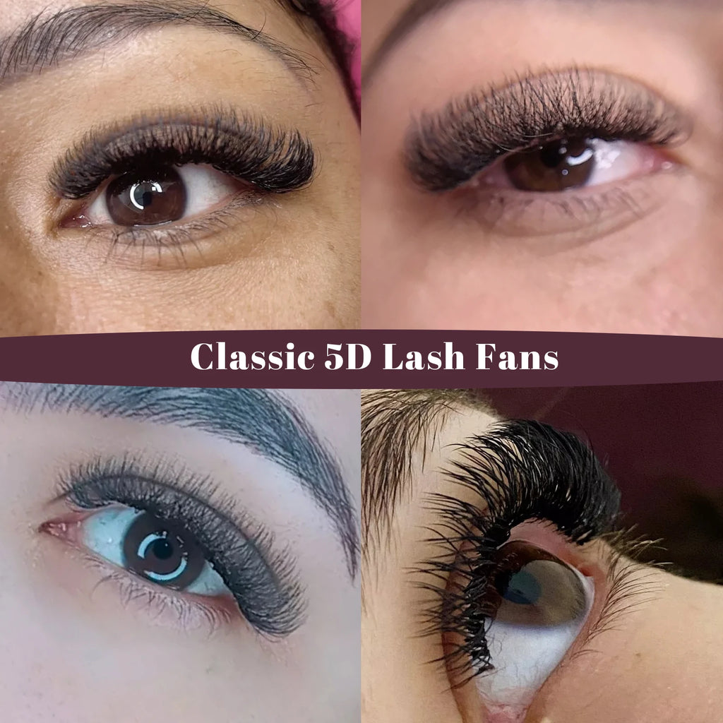 DeceMars 5D - W Shaped Eyelash Extension (12line/Tray)