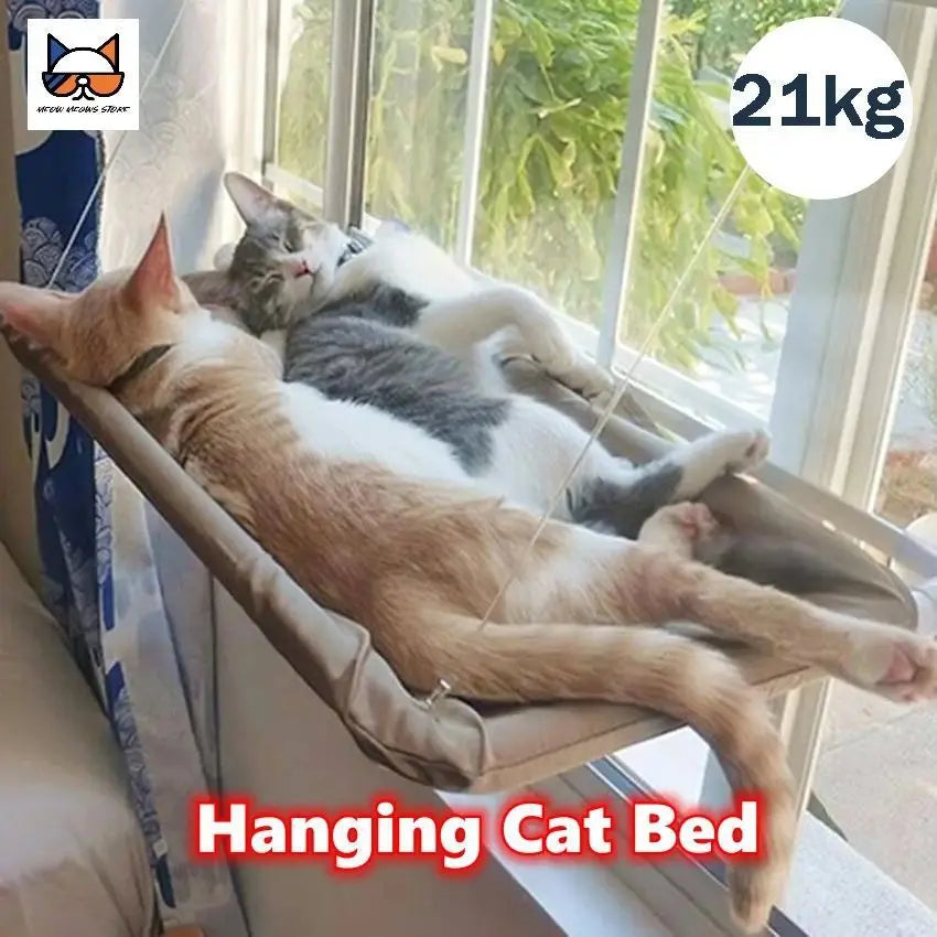 Cat hammock, cat window suction cup, cat nest, cat climbing frame, suspended balcony, glass, sun drying, pet cat bedding supplie