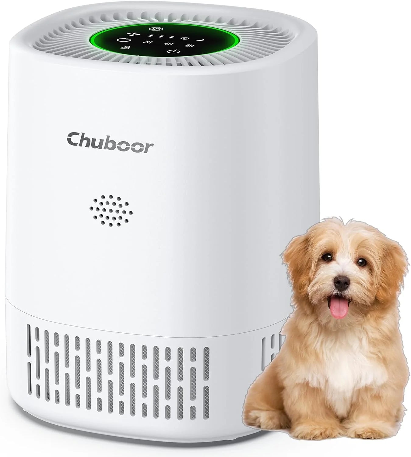 Chuboor Air Purifiers for Bedroom Home ,Filter Cleaner with Sponge Filters Smoke Allergies Pet Dander Odor Dust, Office, Desktop