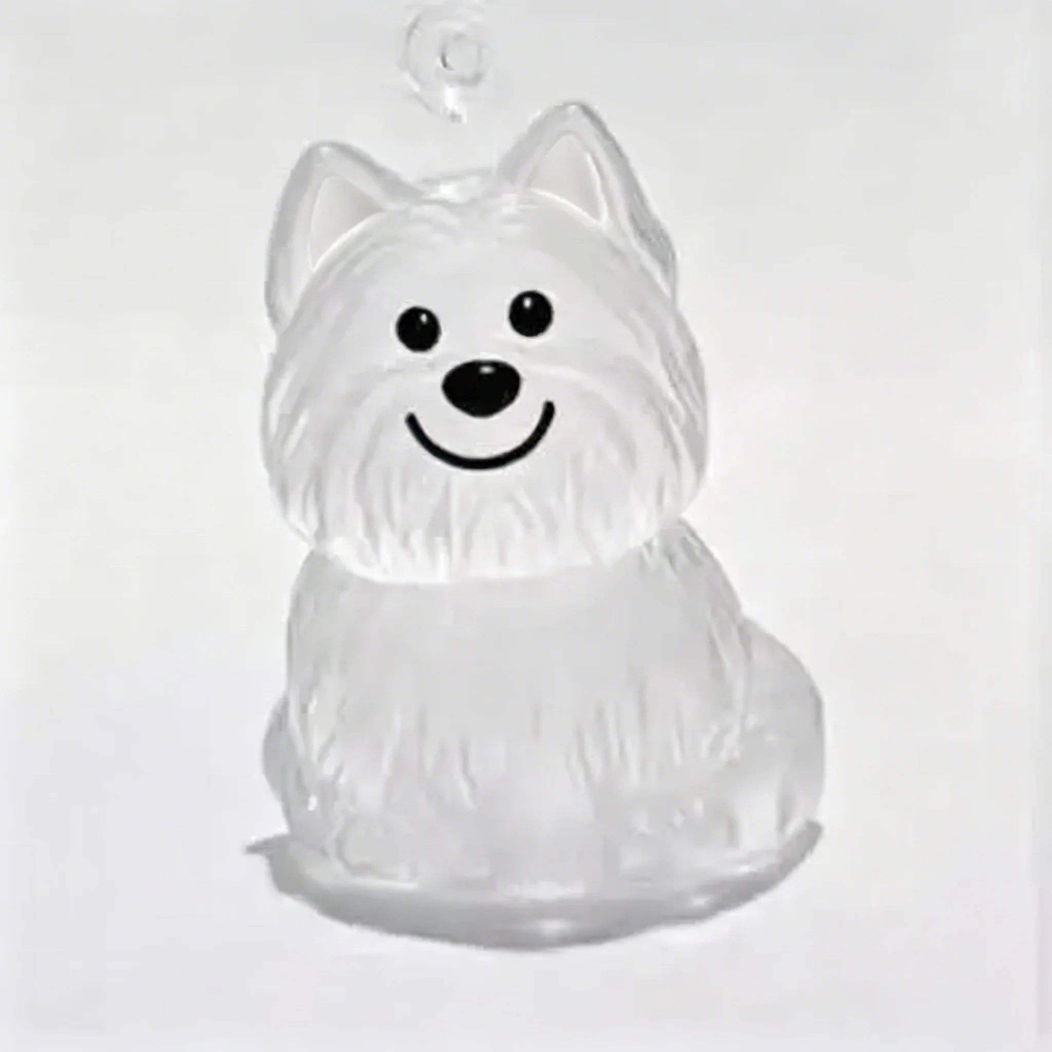 Transparent Dog Hair Storage Container Adorable Pet Keepsake Capsule Pendant With Key Ring for Pet Lovers DIY Memorial Keychain