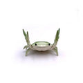 Funny Crab Desktop Pen Holder as creative stationery