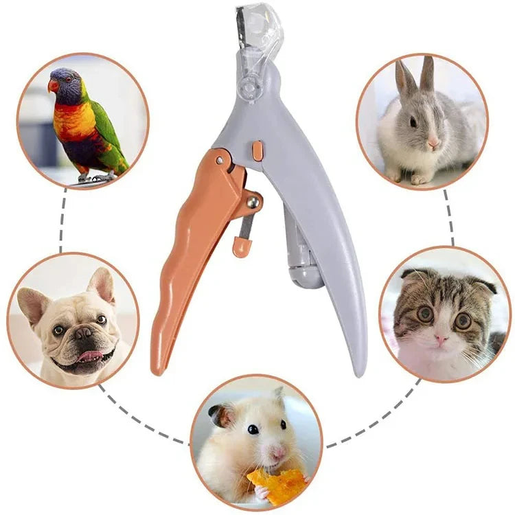 Professional Pet Nail Clipper Scissors With LED Light Cat Dog Nail Clipper Tool Scissors Nail Toeclaw Cutter Scissors Pet Supply
